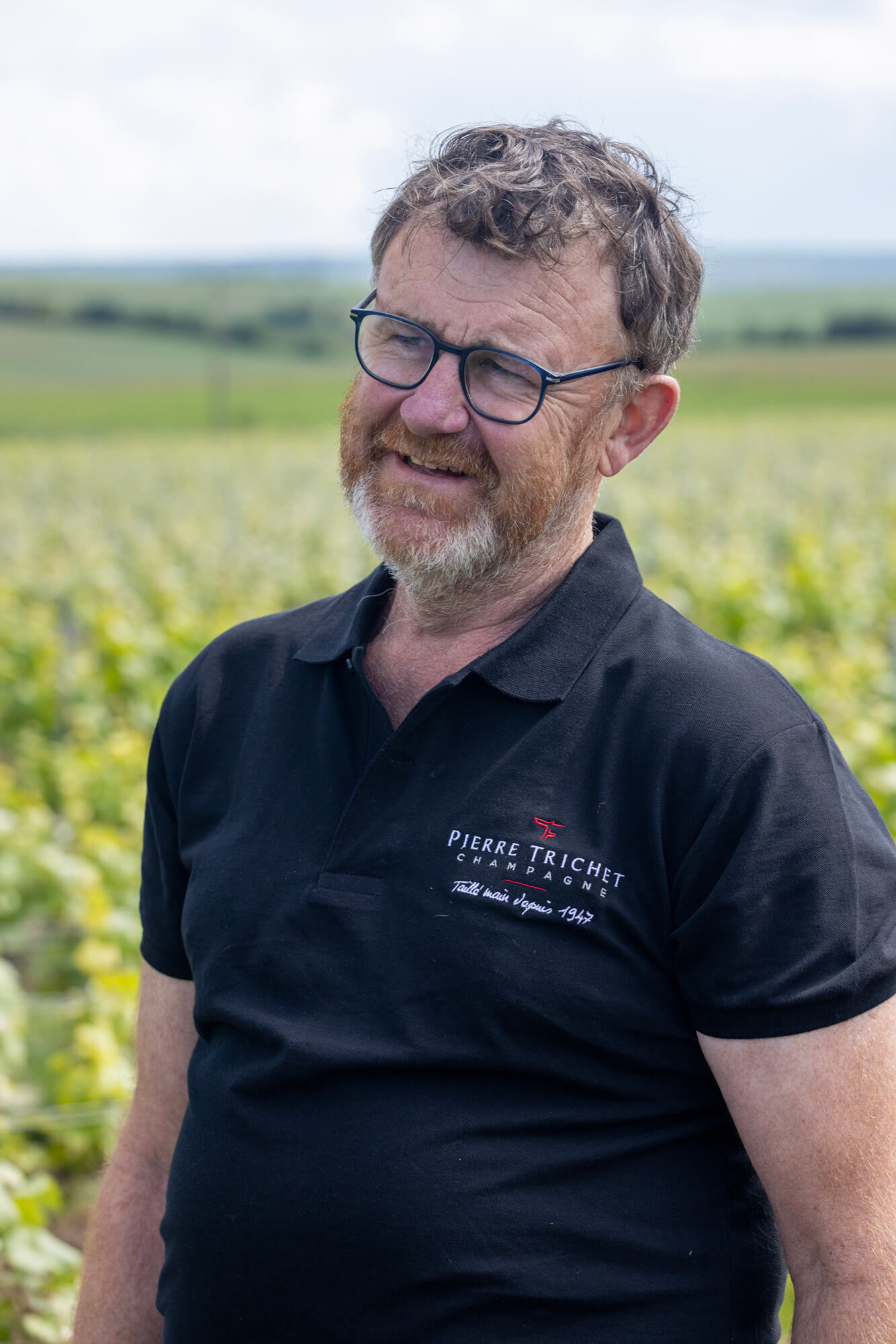 Portrait de Pierre Trichet, au coeur de son vignoble de plus de 8 hectares