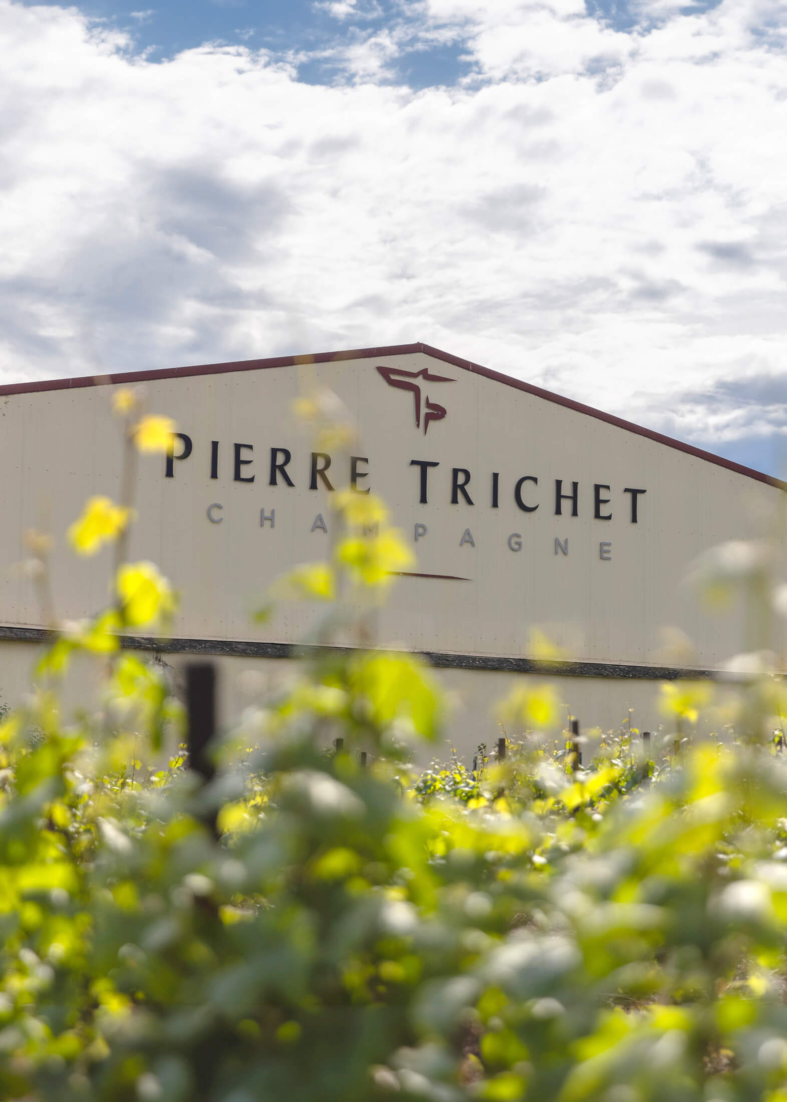 La maison Pierre Trichet derrière les parcelles de vignes, dans le village Trois-Puis près de Reims