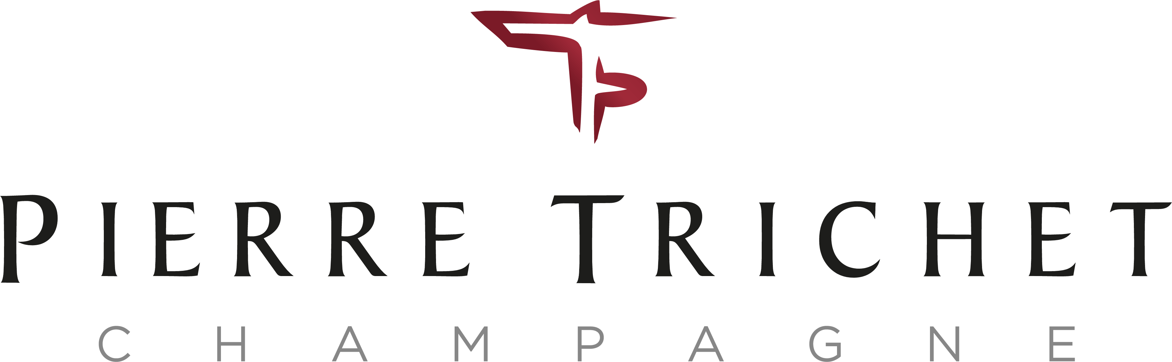 Logo Pierre Trichet